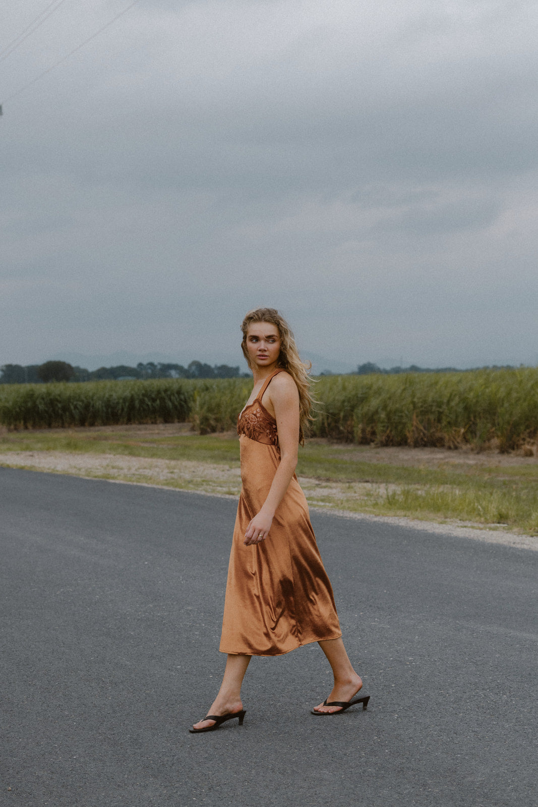 Stevie Midi Dress - Bronze