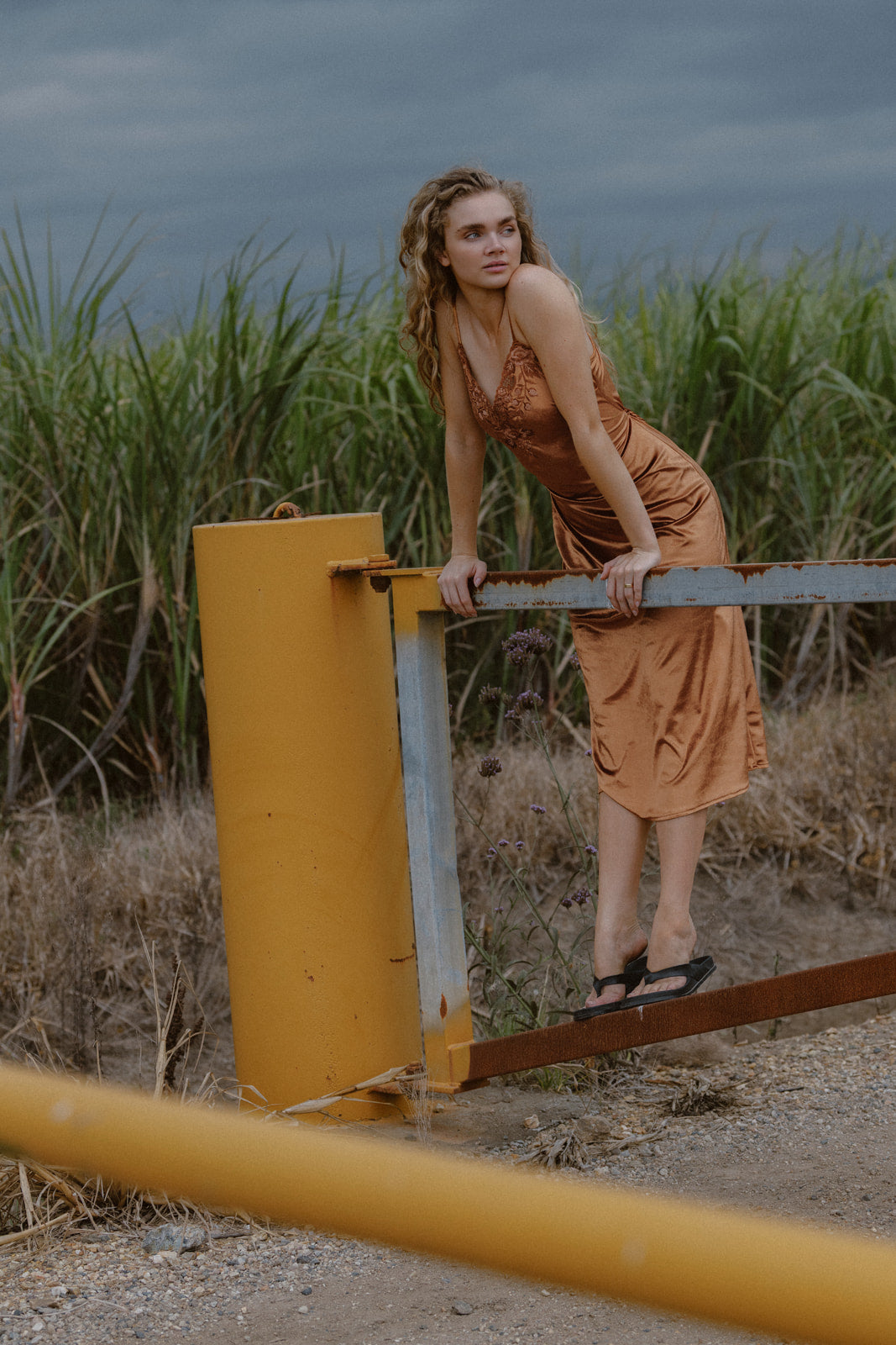 Hendrix Sveta - Bronze