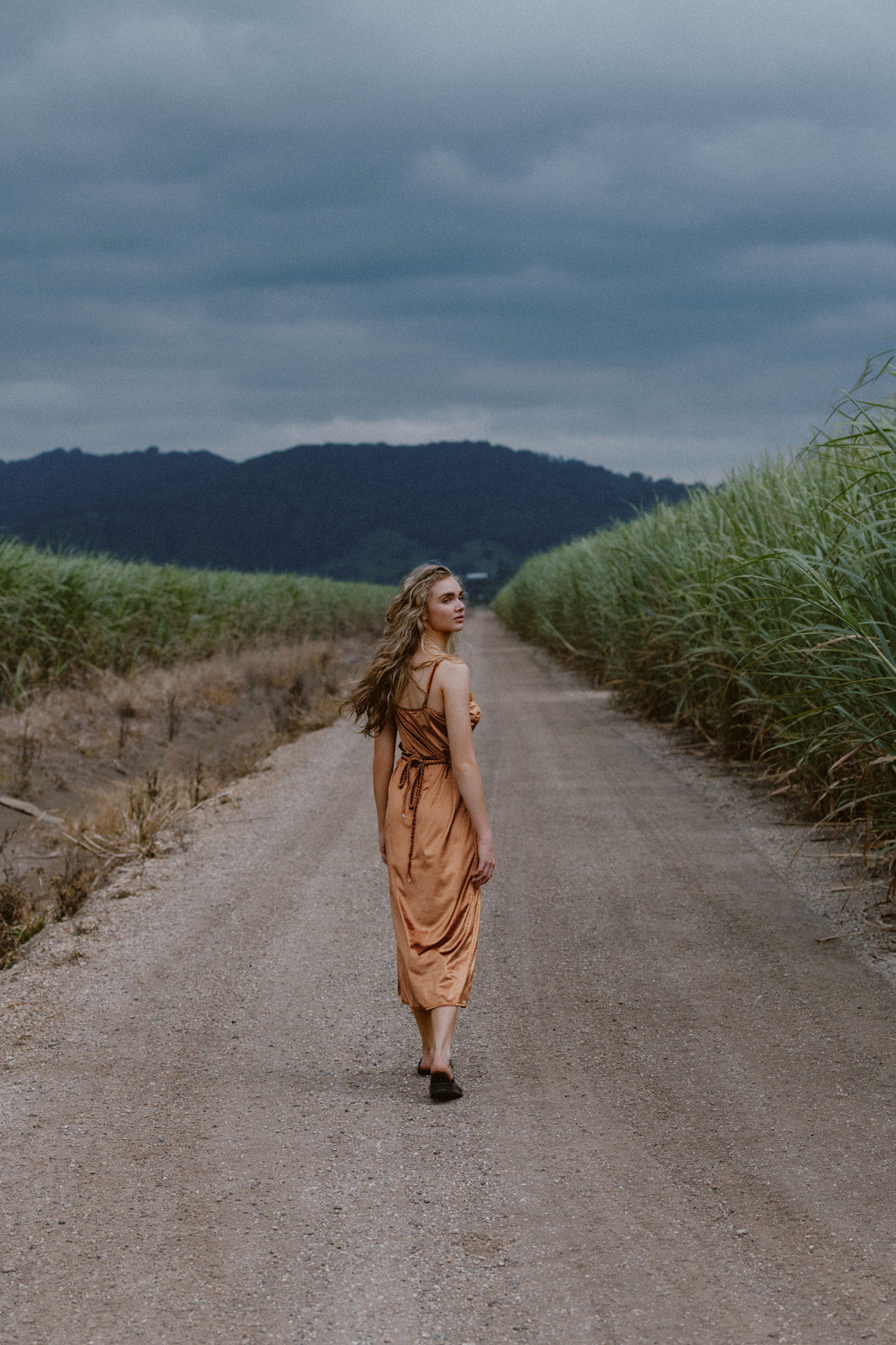 Hendrix Sveta - Bronze