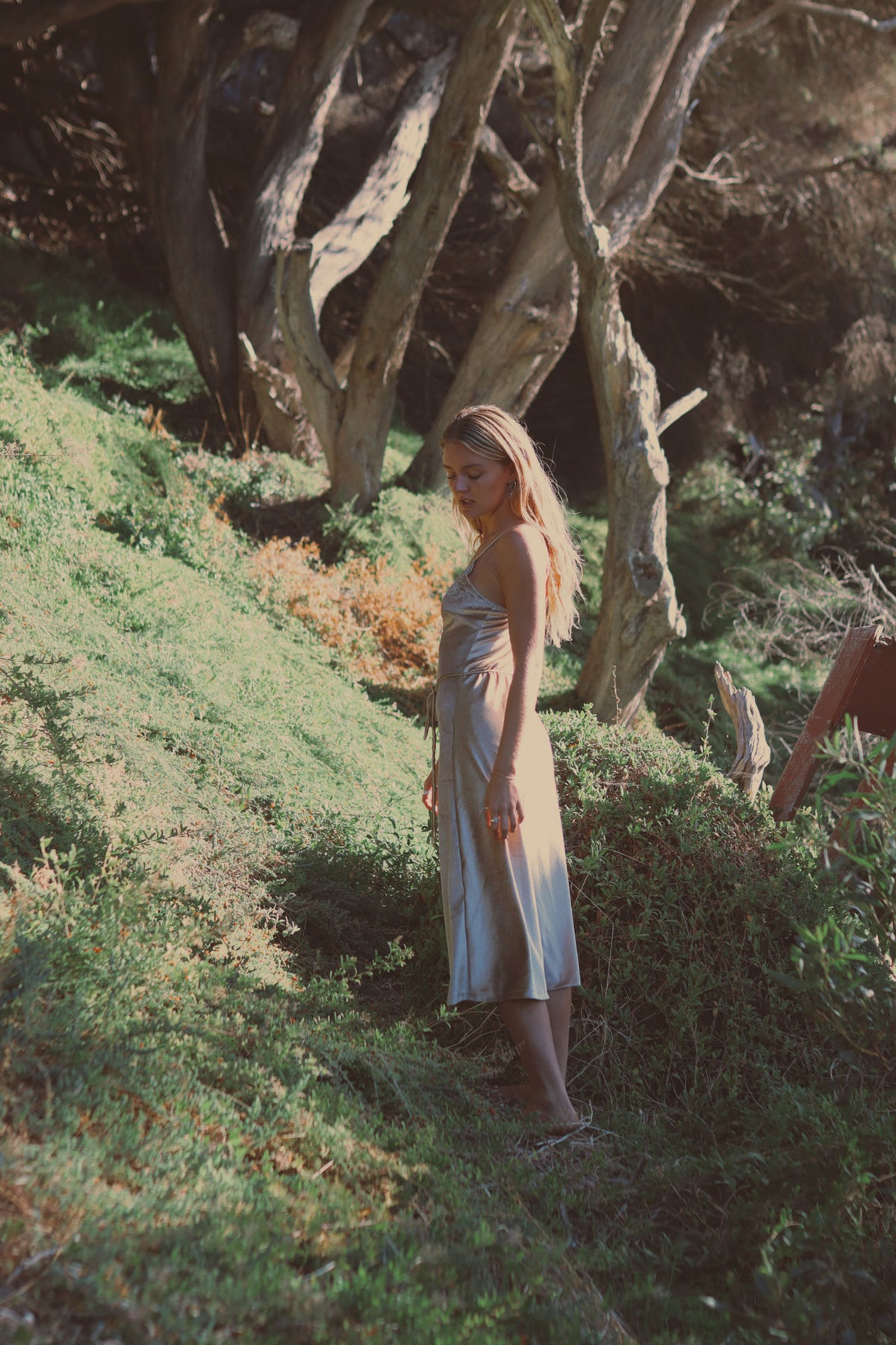 Hendrix Midi Dress - Champagne
